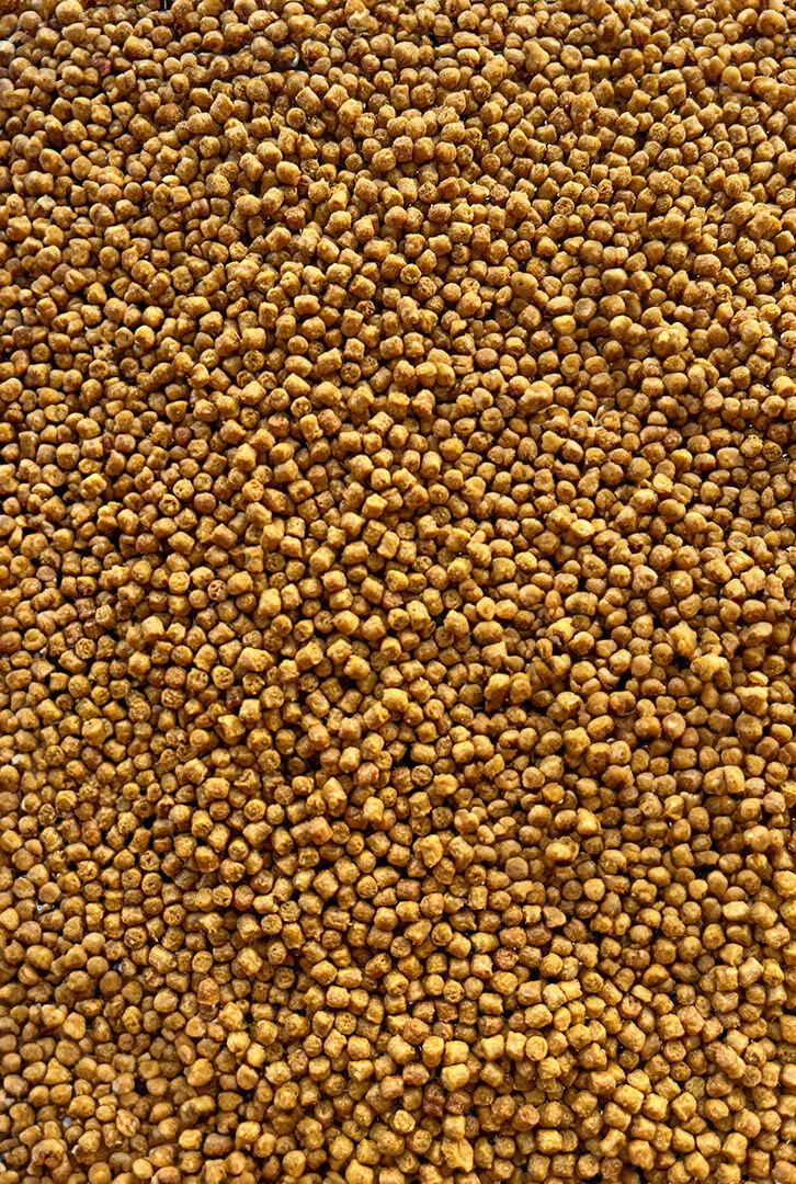 Micro-Pellet-2mm-Competition-Karp-Feeder-Bait_[2321]_1200